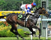 Alan Munro sits up for the photo aboard Thumping in Race 6 on Sunday.<br>Photo by Singapore Turf Club